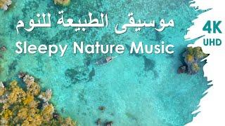 Sleepy Nature Music موسيقى الطبيعة للنوم