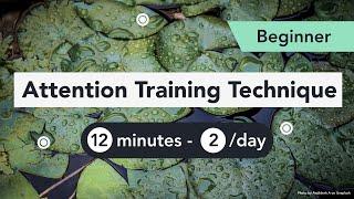Attention Training Technique ATT in Metacognitive Therapy. Beginner 1