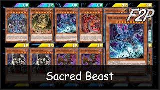 SACRED BEAST 2024 - F2PP2W Deck Analysis & Testing Yu-Gi-Oh Duel Links