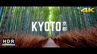 Kyoto Japan - 219 Ultrawide 4K HDR - Arashiyama Bamboo Forest - Cinematic Short