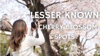 5 LESSER KNOWN Cherry Blossom Spots In Tokyo