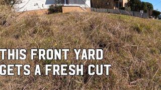 FREE OVERGROWN YARD- GRASS MOWING