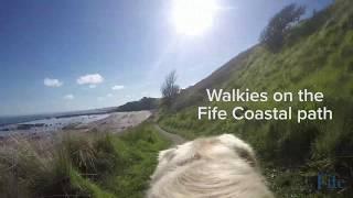 Walkies on the Fife Coastal Path