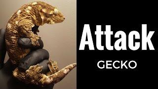 Giant Gecko Attack Rhacodactylus Leachianus defensive noises - Reptile Edge