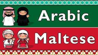 SEMITIC ARABIC & MALTESE