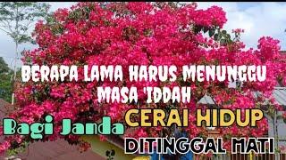 #MasaIddahTunggu#Janda Cerai atau ditinggal mati