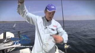 How to Catching baitfish on Sabiki rigs