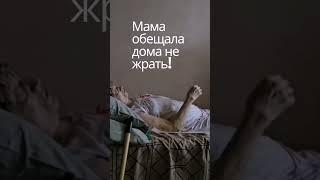 #мама обещает#самвеладамян