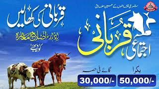 Ijtimai Qurbani 2024  Idara Islahe Muashra