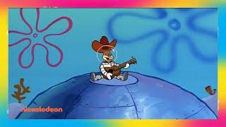 Sandy Cheeks hits puberty #90snostalgia