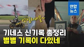 쥐와 손뼉치기 이것도 기네스북에?…세계 신기록 대방출  연합뉴스 Yonhapnews