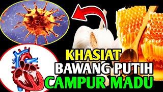 Wow  Kedahsyatan Bawang Putih Campur Madu Yang Jarang Terungkap