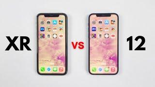 iPhone Xr Vs iPhone 12 - SPEED TEST iOS 16.6 Which is Better in 2023?