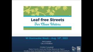 Leaf-free Streets for Clean Waters