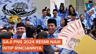 Gaji PNS 2024 Resmi Naik Ini Daftar Lengkapnya