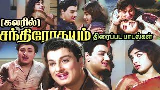 கலரில் சந்திரோதயம் பாடல்கள் Chandrodayam Songs Color - Chandrodhayam movie songs #mgrsongs #mgr