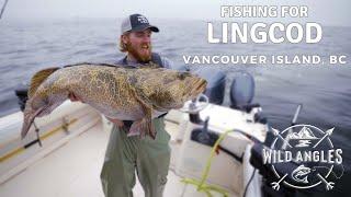 How to Catch Gigantic Fat Lingcod off Vancouver Island