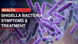 Shigella Bacteria Creates Serious Threat In US Know Symptoms Causes And Treatment