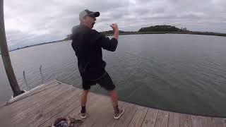 Catching black tip sharks Kiawah Island South Carolina