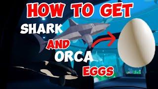 HOW TO GET SHARK AND ORCA EGGS IN FISHING SIMULATOR  