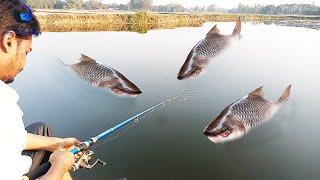 Amazing Traditional Fishing New Video  ll March Dhara Village Method  ll Dipto Fishing