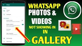 WhatsApp Photo Video Gallery Me save Nahi Ho Rahi  WhatsApp Photos Videos Not Showing Gallery Fix