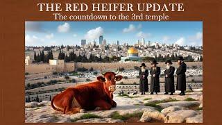 Countdown to the Third Temple  Mondo Gonzales