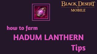 Hadum lanthern farming and preparation tips  Black desert mobile