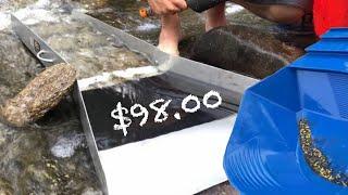 $98.00 worth of GOLD in the Sluice Box