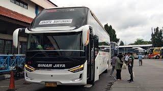 Jalur terbaru sinar jaya  banyuwangi - jakarta  trayek terjauh sinar jaya.??