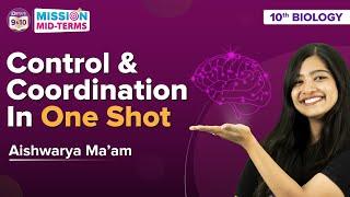 Control and Coordination in One Shot Class 10 Science Biology Concepts+ MCQs  BYJUS Class 10