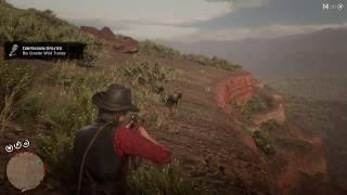 Red Dead Redemption 2 - Rio Grande Wild Turkey Location Tribute to Pablo V.