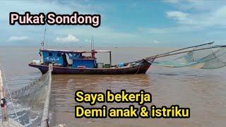 ternyata seperti ini pekerjaan nelayan pukat sondong ikan teri bekerja tiada henti