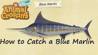 Animal Crossing New Horizons - How to Catch a Blue Marlin