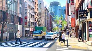 【4K】Akasaka Tokyo Walking  April 2023  赤坂でお散歩