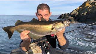 Lure Fishing for Pollack - UK Shore fishing  The Fish Locker