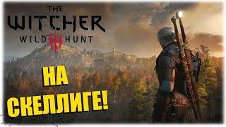 НА СКЕЛЛИГЕ - The Witcher 3 Wild Hunt - Вечерний стрим