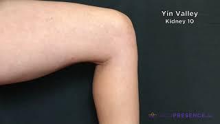 Kidney 10  Yin Valley  AcuPresence® Point Location Series
