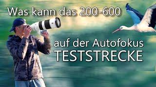 Wie gut ist das Sony 200-600 bei Vögel im Flug ? Kann es mit der A9 und A1 mithalten?