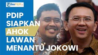 PDIP Siapkan Ahok Lawan Mantu Jokowi Bobby Nasution Pengamat Sengaja Biar Jadi Pusat Pemberitaan