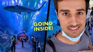 Jumping inside a Shark Tank For Real