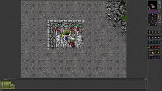 Tibia 7.6 Two 38 Mages Create Rare Ropetrap in Kazordoon. Some good frags and nice run in end.