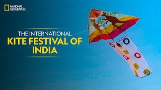 The International Kite Festival of India  It Happens Only in India  National Geographic