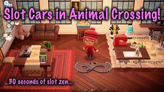 Animal Crossing Slot Car Track