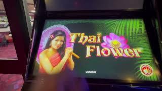 LOTS OF SLOTS AT MECCA BINGO. Thai flower went on a little mental one just at the right time 
