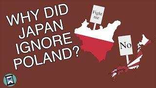 Why did Japan refuse Polands declaration of war in WW2? Short Animated Documentary