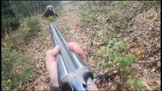  Встреча с МЕДВЕДЕМ в лесу...  bear attacks russian man 