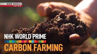 Carbon Farming A Climate Solution Under Our Feet - NHK WORLD PRIME