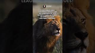 Você já despertou o leão que existe dentro de você?  #leao #motivacional l #shortvideo