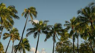 quiet moments from hawaii sony fx3 + sigma 24-70